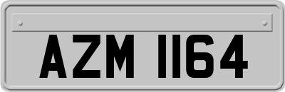 AZM1164