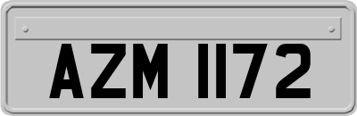 AZM1172