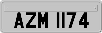 AZM1174