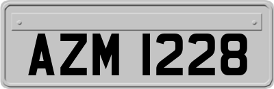 AZM1228