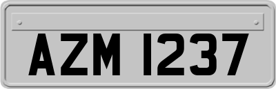 AZM1237