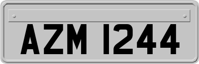 AZM1244