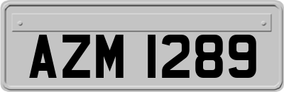 AZM1289