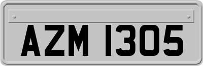 AZM1305