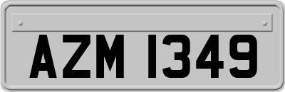 AZM1349