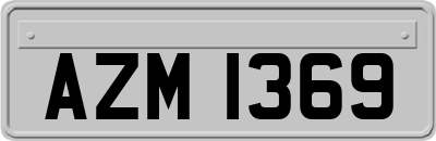 AZM1369