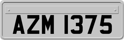 AZM1375