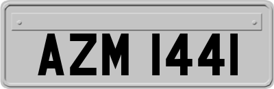 AZM1441
