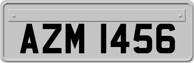 AZM1456