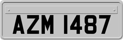 AZM1487