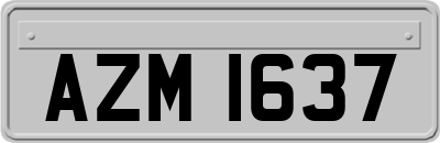 AZM1637