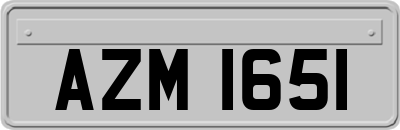 AZM1651