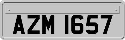 AZM1657
