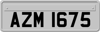 AZM1675