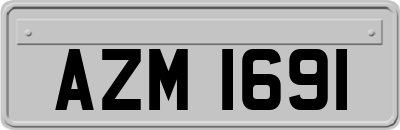 AZM1691