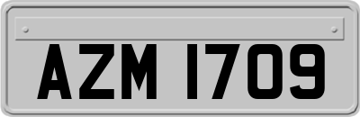 AZM1709