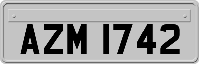 AZM1742