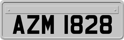 AZM1828