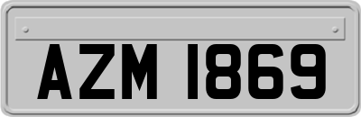 AZM1869