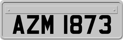 AZM1873