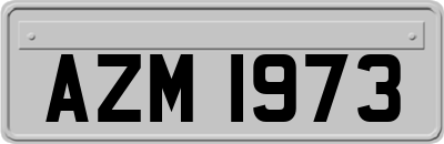 AZM1973