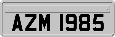 AZM1985