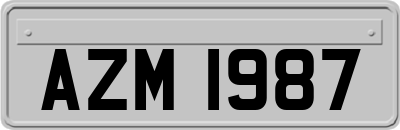 AZM1987