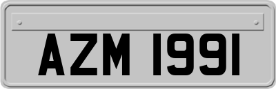 AZM1991