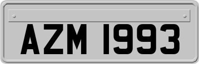 AZM1993