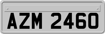 AZM2460