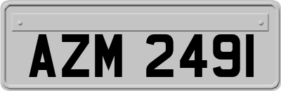 AZM2491
