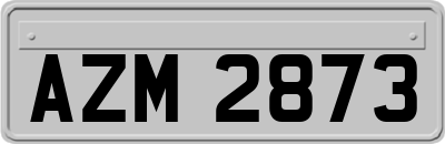 AZM2873