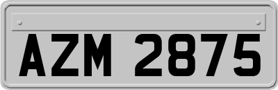 AZM2875