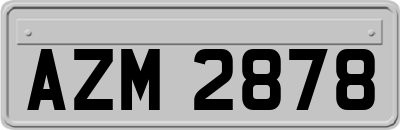 AZM2878