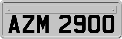 AZM2900