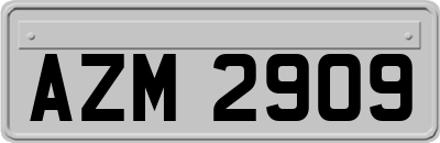 AZM2909