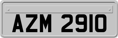 AZM2910