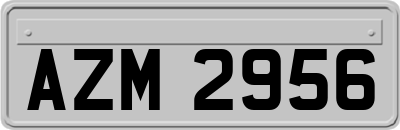 AZM2956