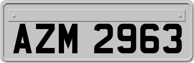 AZM2963