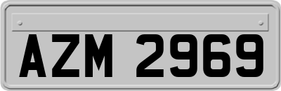 AZM2969