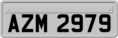 AZM2979