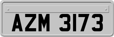AZM3173