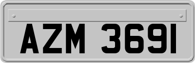 AZM3691