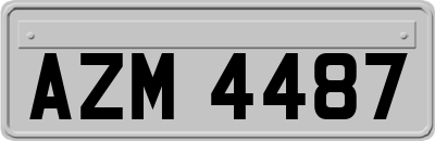 AZM4487