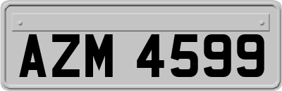 AZM4599