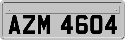 AZM4604