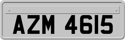AZM4615