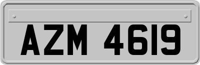 AZM4619