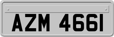 AZM4661