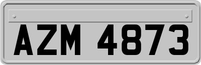 AZM4873
